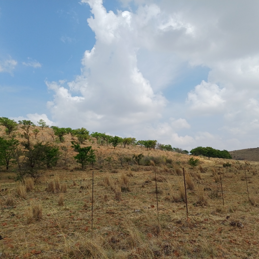 0 Bedroom Property for Sale in Lindequesdrif North West